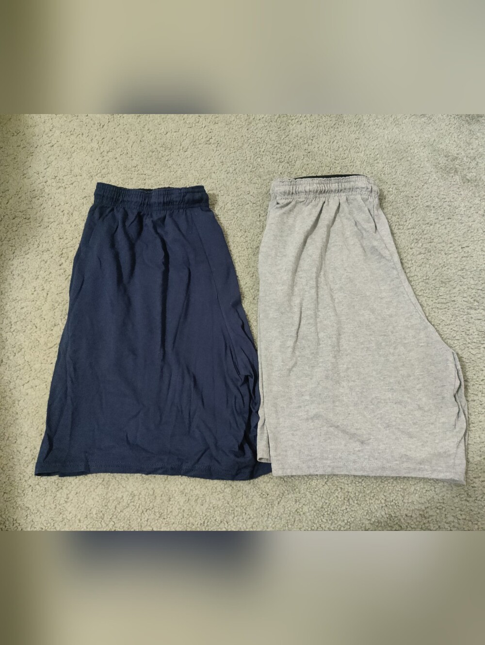 Fruit of the Loom Shorts in Navy and Light Gray